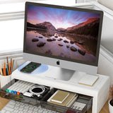 Monitor Stand Riser, with Storage Organizer